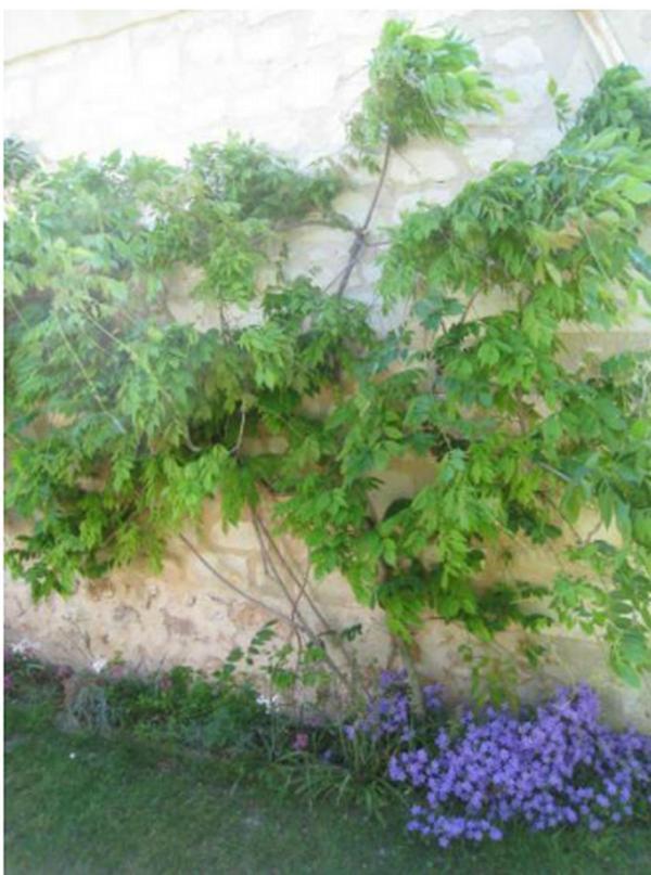Le Clos De La Chapelle - Gite Les Glycines Kültér fotó